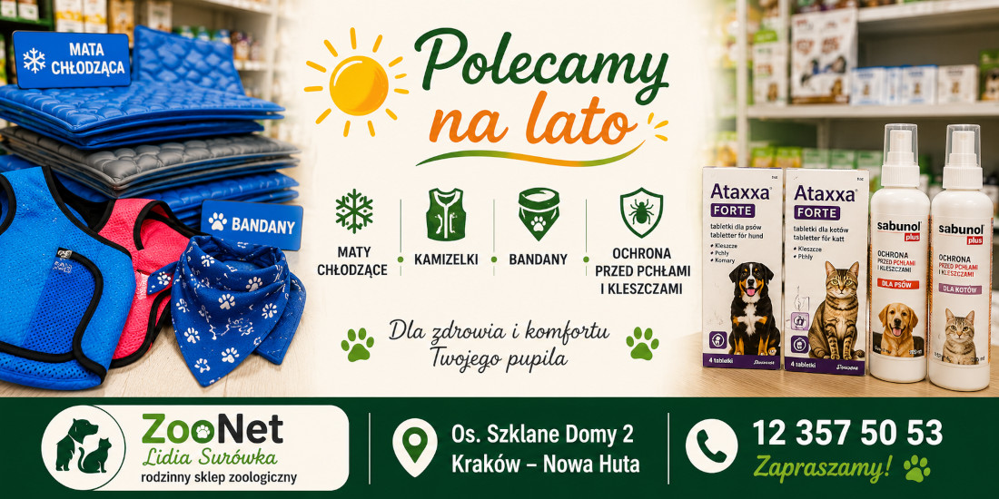 Polecamy na lato